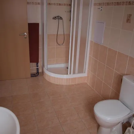 Apartments Viktoria Klinovec Kovářská Esterno foto