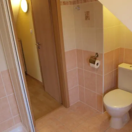 Apartments Viktoria Klinovec Kovářská Esterno foto