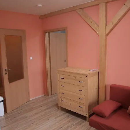 Apartments Viktoria Klinovec Kovářská Esterno foto