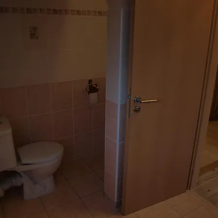Apartments Viktoria Klinovec Kovářská Esterno foto