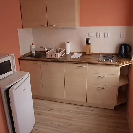 Apartments Viktoria Klinovec Kovářská Esterno foto