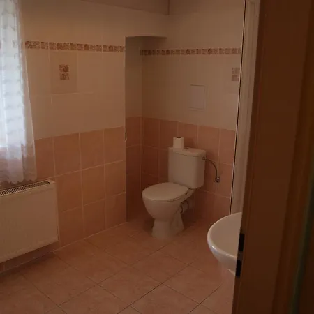Apartments Viktoria Klinovec Kovářská Esterno foto